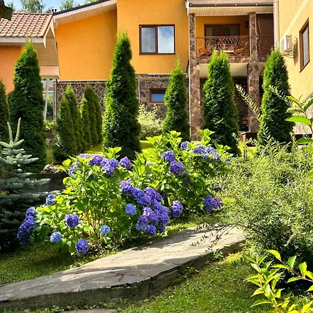 Vovk * Sinyak (Transcarpathia)